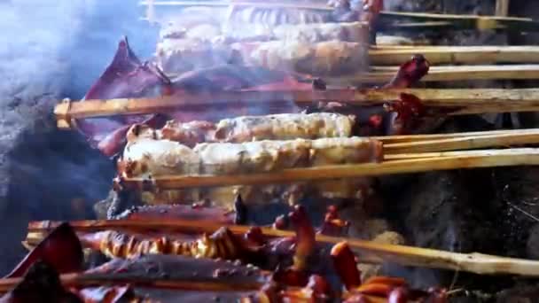 在烧烤烤架上烘烤和烧烤腌鱼 用木炭烤鱼 — 图库视频影像