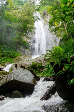 Güzel dolo şelalesi. Dolo, Kediri 'deki şelalelerden biri.