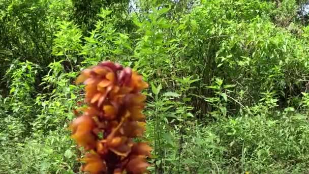 Басқа біреудің әйелдерін ұру порносы Жалаңаш Екатерина Гулякова