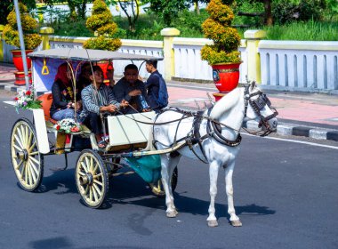 Endonezya at arabaları. Araba Endonezya 'nın geleneksel ulaşım araçlarından biridir.
