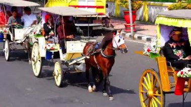 Endonezya at arabaları. Araba Endonezya 'nın geleneksel ulaşım araçlarından biridir.