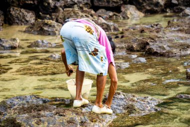 Deniz çekildiğinde deniz kabuğu arayan yaşlı kadın.