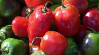 Capsicum chinense (Cabai habanerom, cabai gendol, cabai gendot). Dünyanın en acı biberi.