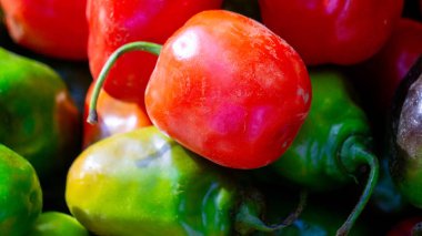 Capsicum chinense (Cabai habanerom, cabai gendol, cabai gendot). The hottest peppers in the world clipart