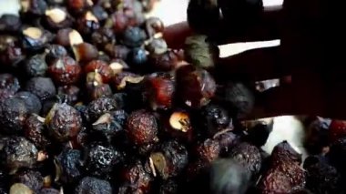 Sapindus rarak (Sapindus mukorossi, rerek, lamuran, Lerak). Bu meyve bulaşık deterjanı, çeşitli mutfak aletleri için temizleyici ve sabun haline getirilir..