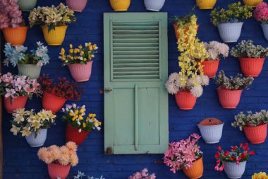 Mavi duvarda yeşil pencere, saksıda çiçek var.