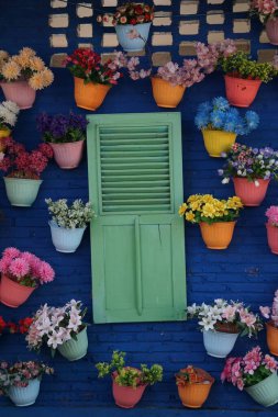 Mavi duvarda yeşil pencere, saksıda çiçek var.