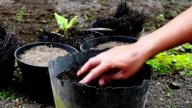 Bahçedeki kullanılmış plastik saksılara bitki tohumları ekiyorum.