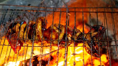 Soya soslu ızgara kalamar (cumi bakar) lezzetli ve lezzetli görünüyor. Endonezya yemekleri