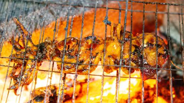 Soya soslu ızgara kalamar (cumi bakar) lezzetli ve lezzetli görünüyor. Endonezya yemekleri