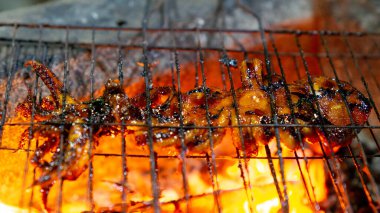 Soya soslu ızgara kalamar (cumi bakar) lezzetli ve lezzetli görünüyor. Endonezya yemekleri