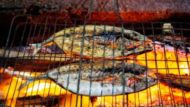 Soya soslu ızgara balık (ikan bakar) lezzetli ve lezzetli görünüyor. Endonezya yemekleri