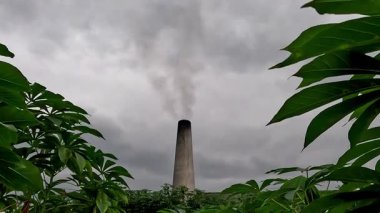 Fabrika bacasından mavi gökyüzü arka planıyla siyah duman çıkıyor.