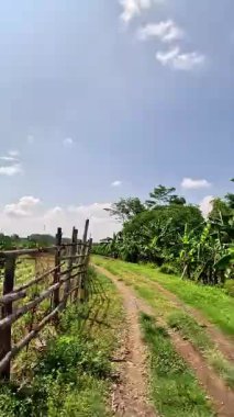 Kenarında pirinç tarlası, arkasında mavi gökyüzü olan güzel bir yol.