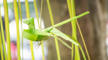 Hindistan cevizi yapraklarından (janur) örgü ve el işi yapmak. Geri dönüştürülmüş el sanatları.