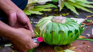 Hindistan cevizi yapraklarından (janur) örgü ve el işi yapmak. Geri dönüştürülmüş el sanatları.