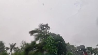 Şiddetli yağmur siyah bulutlar ve ağaç zeminiyle yağar