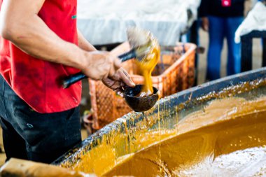 Esmer şeker yapma süreci. Esmer şeker, şeker kamışından yapılır..