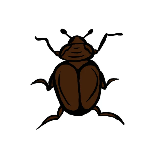 Insecte Cafard Animal Vecteur Icône Design — Image vectorielle