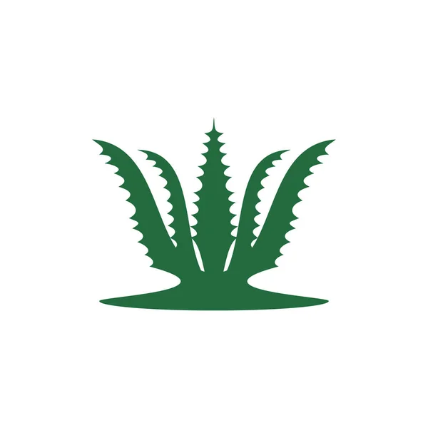 Diseño Saludable Del Logotipo Del Vector Cosmético Aloe Vera — Archivo Imágenes Vectoriales