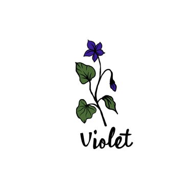 Mor çiçek el çizimi vektör logosu tasarımı