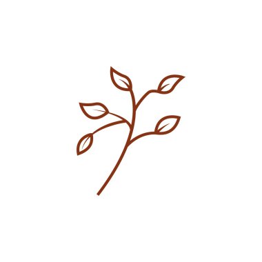 Yaz çiçeği yaprağı süsleme vektör tasarımı