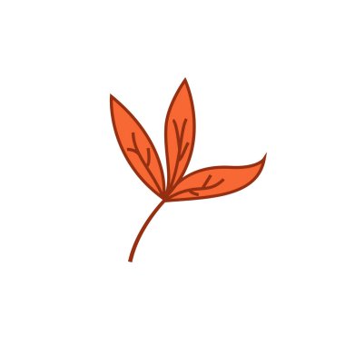 Yaz çiçeği yaprağı süsleme vektör tasarımı