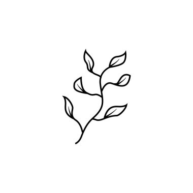 Yaz çiçeği yaprağı süsleme vektör tasarımı