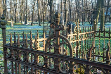 Mavi Kar Damlalı Park, Paslı Demir Çit Eski Mezarı Saran Çit