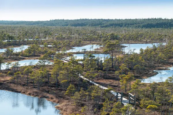 Letonya 'daki Kemeri Bataklığı' nın nefes kesici hava manzarası dolambaçlı yollar, yoğun ağaçlar ve sakin bataklık gölleriyle bataklığın uçsuz bucaksız genişliğini gözler önüne seriyor. Zengin yeşil bitki örtüsü bataklıkların karanlık sularıyla çok güzel tezat oluşturuyor..