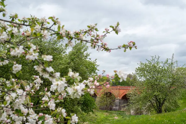 Çiçekler ve yemyeşil çiçeklerle çevrili eski bir taş köprünün yer aldığı pitoresk bir bahar manzarası. Tarihi yapı, doğanın canlı renkleriyle uyumlu bir şekilde harmanlanarak kırsal kesimin barışçıl özünü tam çiçeklenerek yakalar..