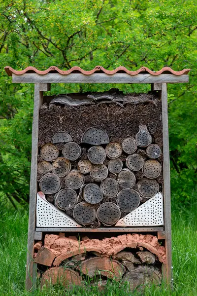 Yararlı böcekler için barınak ve yuva alanı sağlamak için özel olarak tasarlanmış bir böcek evi. Tahta gibi doğal malzemelerden yapılmış..