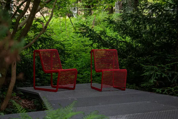 Parktaki yemyeşil çimlerin üzerinde iki parlak kırmızı metal bank yan yana duruyor. Canlı kırmızı renk, canlı yeşillikle çarpıcı bir tezat oluşturuyor, canlı ve davetkar bir sahne yaratıyor..