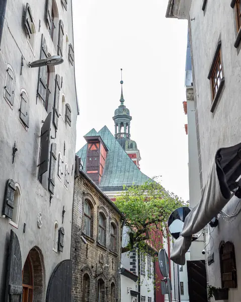 Eski Riga 'da manzaralı bir sokak manzarası, arka planda süslü cepheli tarihi binalar ve önemli bir kilise kulesi yer alıyor. Parke taşı caddesi, büyüleyici mimari..