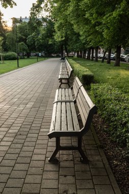 Bir patika boyunca dizilmiş sıra sıra boş bankların olduğu huzurlu bir park sahnesi. Banklar, ziyaretçileri dinlenmeye ve parkın huzurlu atmosferinin tadını çıkarmaya çağıran bir ritim ve perspektif duygusu yaratıyor..