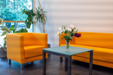 Parlak, davetkar bir oda. Parlak sarı bir kanepe ve uyumlu bir koltuk. Ortasında bir vazo taze çiçekle süslenmiş küçük bir sehpa duruyor. Biraz zarafet ve sıcaklık katıyor.. 