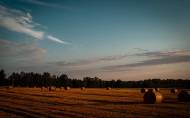 Akşam güneşinin sıcacık ışığıyla aydınlatılan yeni hasat edilmiş bir tahıl tarlası. Büyük saman balyaları tarlaya saçılmış, güzel bir kırsal alan yaratıyor. Ekinlerin altın rengi ve günbatımının yumuşak parıltısı sükuneti iletiyor..