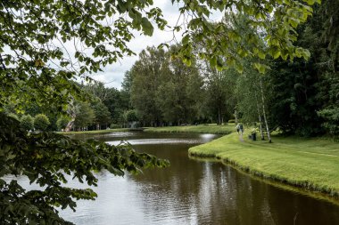 Taze yeşil çimenler ve uzun yapraklı ağaçlarla çevrili sakin bir göleti olan manzaralı bir yaz manzarası. Sakin su kırsal kesimin doğal güzelliğini yansıtıyor, huzurlu ve sakin bir açık hava ortamı yaratıyor..
