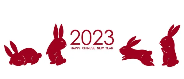 Roztomilý Králík Kostým Šťastný Číňan Rok Číňan Měsíc Nový Rok — Stock fotografie