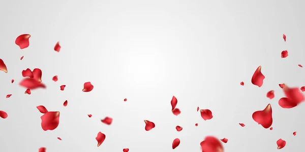 Czerwone Płatki Róż Spadną Abstrakcyjne Tło Kwiatowe Wspaniałym Wzorem Kartki — Zdjęcie stockowe