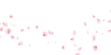 Pastel pembe taç yaprakları soyut çiçek arkaplanına dökülüyor ve güzel bir tebrik kartı tasarımı var. Vektör illüstrasyonu.