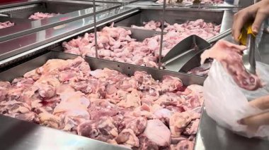 Süpermarkette çiğ tavuk seçen bir kız. çiğ tavuğu parça parça seçmek. Düzgün beslenme. Markette bir kadın çiğ tavuk parçalarını satın almak için poşete koyar..
