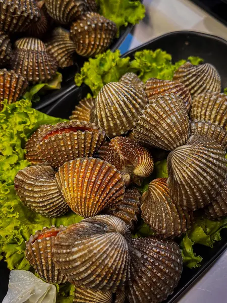 Yenilebilir istiridyeler tabağa serilmiş yeşil deniz tarakları, kabuklu taze midyeler..