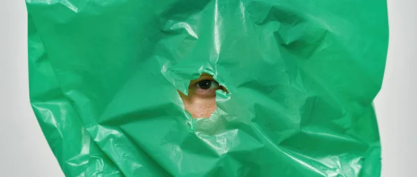 Human eye looking through plastic bag at camera. Ecology safety and protection. Waste disposal and recycling. Environmental sustainability. Isolated on white background. Studio shoot