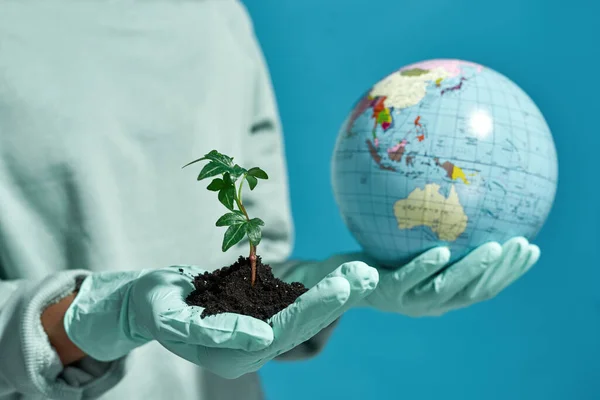 Cropped black girl wearing gloves holding globe and green plant in ground. Global ecology safety and protection. Waste disposal and recycling. Environmental sustainability. Blue background in studio