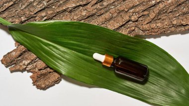 Kısmi ağaç kabuğunun üst görüntüsü, büyük yeşil yaprak ve beyaz arka planda izole edilmiş yağ şişesi. Deri ve vücut bakımı kavramı. Eko ve doğal güzellik ürünü. Stüdyo çekimi. Hiç kimse. E-ticaret