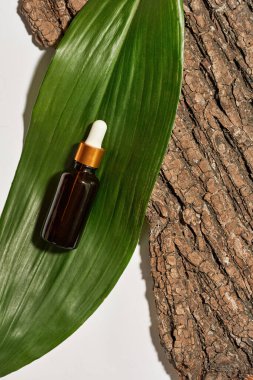 Yağ, kesilmiş ağaç kabuğu ve beyaz arka planda izole edilmiş büyük yeşil yapraklı şişe manzarası. Deri ve vücut bakımı kavramı. Eko ve doğal güzellik ürünü. Stüdyo çekimi. Kimse.