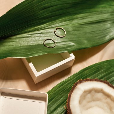 Altın alyansların kısmi üst görüntüsü, büyük yeşil yapraklar, dilimlenmiş hindistan cevizi ve ipek kumaş arka planda izole edilmiş açık kutu. Şık, gösterişli, zarif ve lüks mücevherler. Stüdyo çekimi. Hiç kimse. E-ticaret