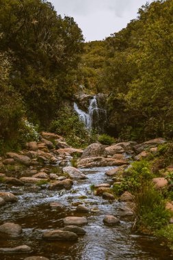 Levada das 25 Fontes and Risco waterfall