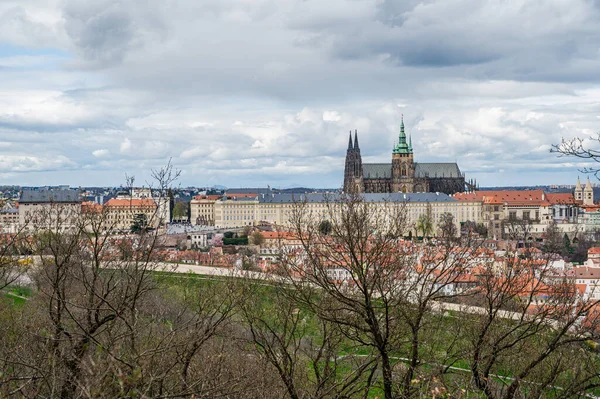 Castelo Praga Majestoso Atemporal Marco História Arquitetura Checa Capturando Beleza — Fotografia de Stock